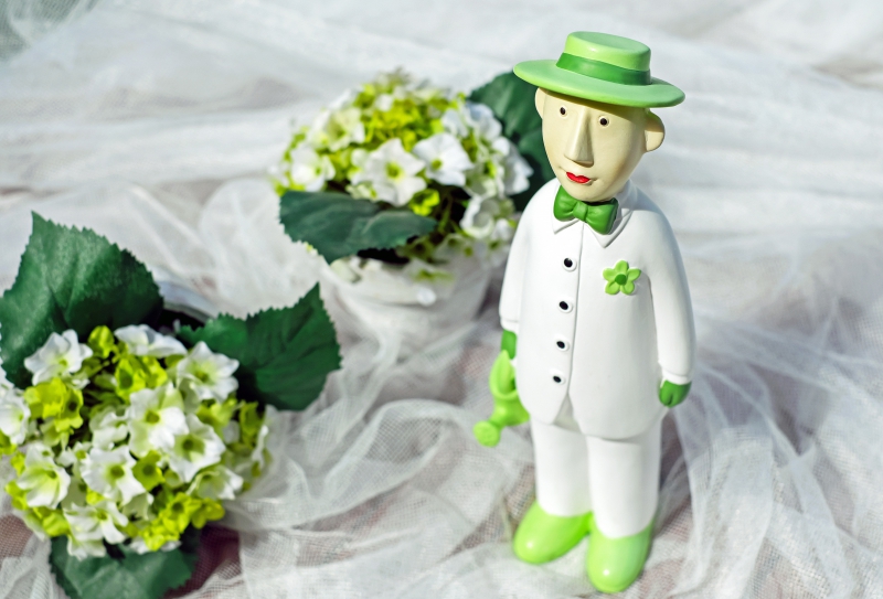 vitrine-LA VERDIERE-min_man-person-flower-green-toy-fig-546529-pxhere.com